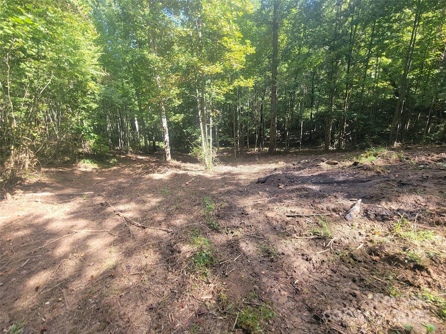 00 Bradford Park unit 10, Clyde, NC 28721 - photo 1