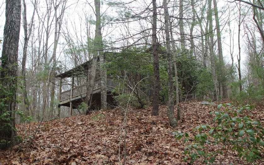 Main View