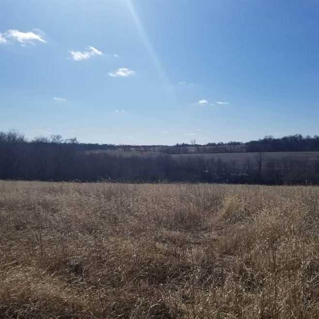 5.3 Ac Skinner Hollow Rd, Adams, WI 53566 - photo 1