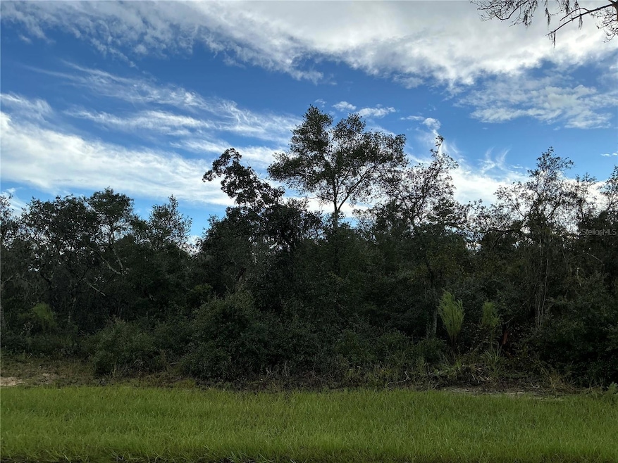 0 SW 178th St, Ocala, FL 34473 - photo 1