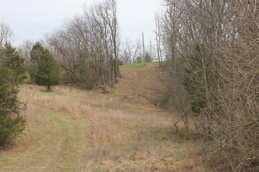 1500 Baxter Ridge Rd, Lawrenceburg, KY 40342 - photo 1