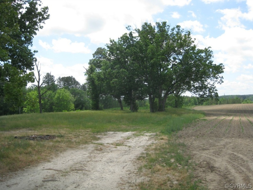 0 Craig Mill Rd unit 1503990, Lunenburg, VA 23944 - photo 1