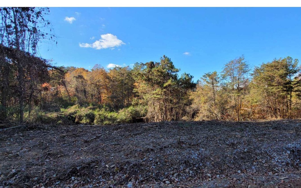 LOT 9 Old Orchard Rd, Ellijay, GA 30536 - photo 1