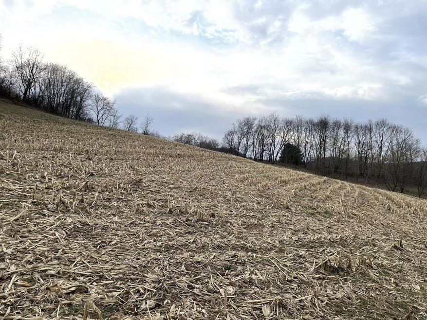 40 acres