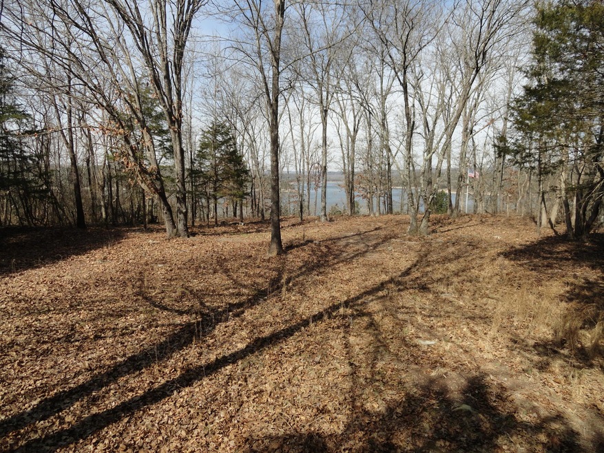 Lot 25 Lake Cottage Ln, Williams Township, MO 65747 - photo 1