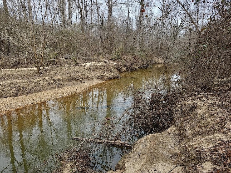 0 Hutcheson Rd unit 7537190, Temple, GA 30179 - photo 1