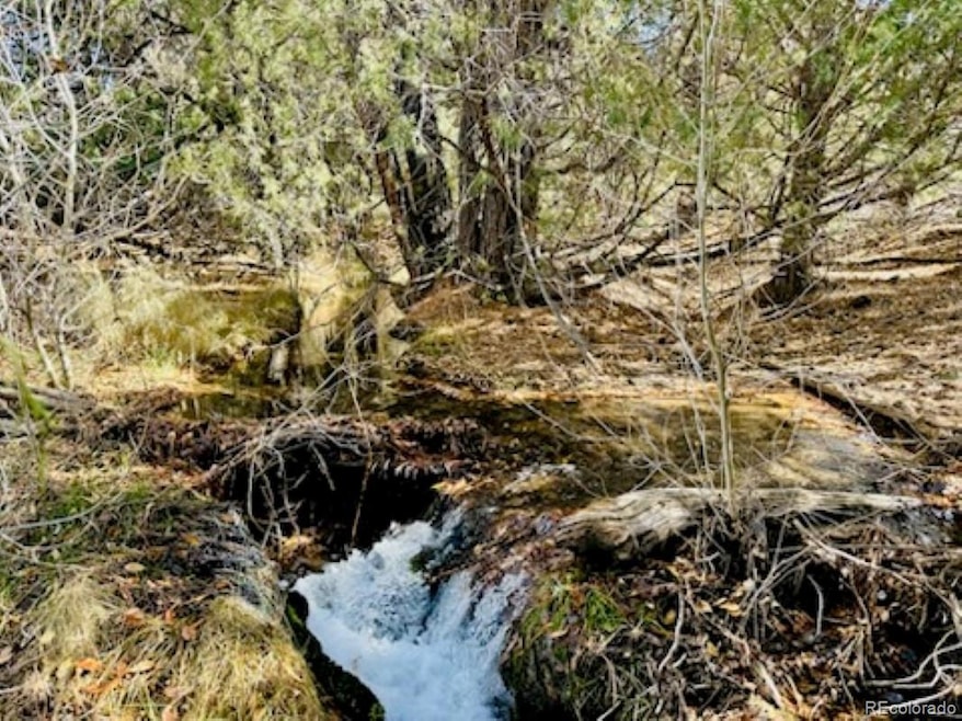 North Zapata creek winding through the north boundary line.