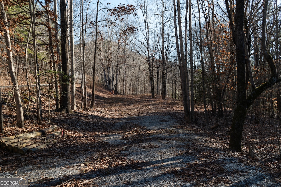 0 Tall Oak Dr unit 10436566, Sautee Nacoochee, GA 30571 - photo 1