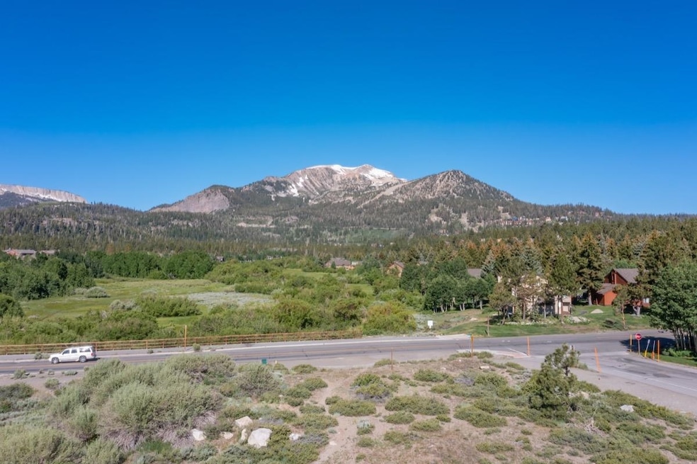 2 Meadow Ln unit 1, Mammoth Lakes, CA 93546 - photo 1