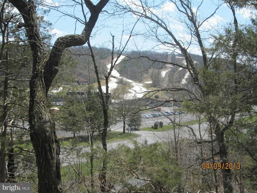 0 Resort Dr unit 1003447096, Basye, VA 22810 - photo 1