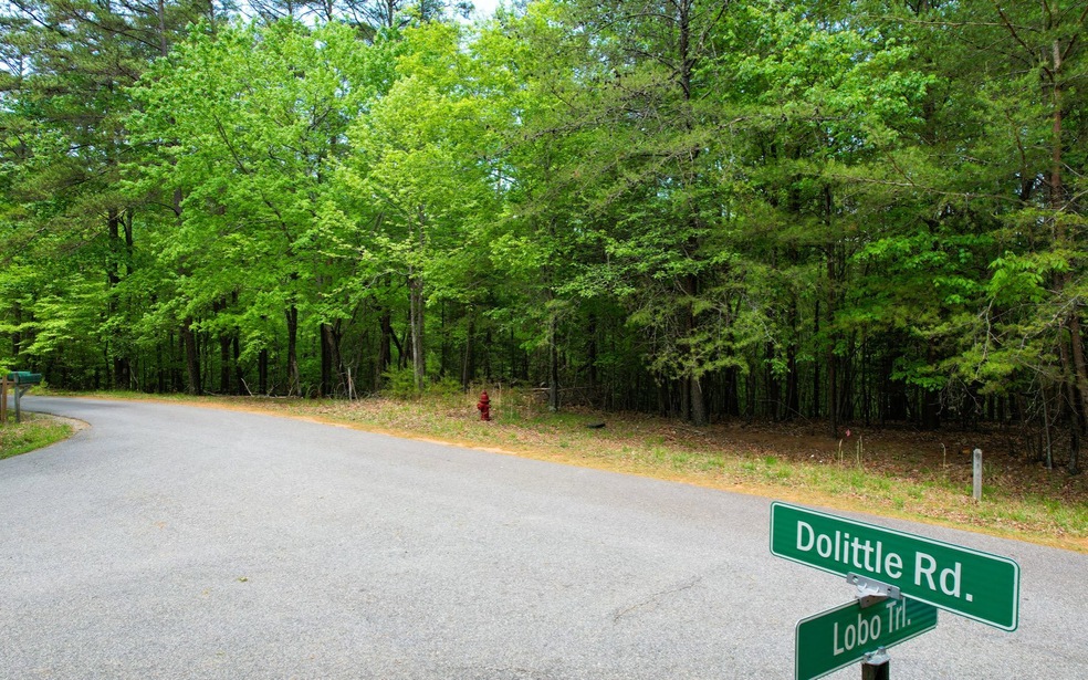 1.15 Acres Dolittle Rd, Morganton, GA 30650 - photo 1