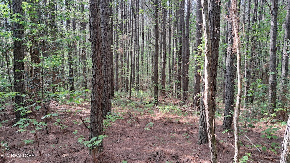 Lot 14 Airport Rd (Pca), Rockwood, TN 37854 - photo 1