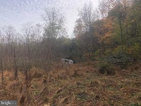 15 ACRES River Rd, Unger, WV 25411 - photo 1