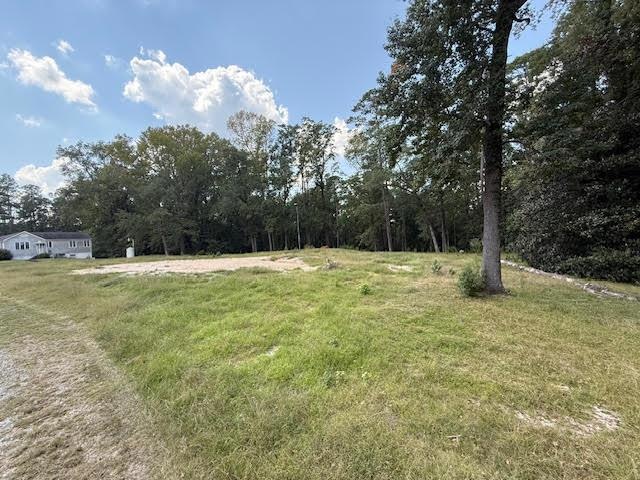 110 Magnolia Dr, McIntyre, GA 31054 - photo 1