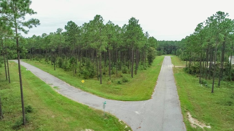LOT 26 Merganser Ln, Moultrie, GA 31768 - photo 1