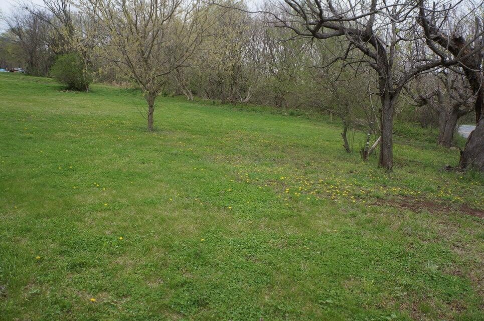 Land View