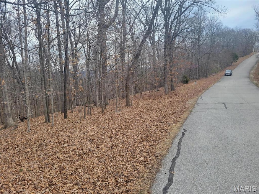 437 Big River View, Meramec Township, MO 63025 - photo 1