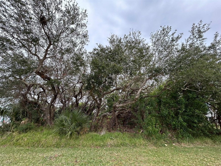 0 River Rd unit MFRNS1083561, New Smyrna Beach, FL 32169 - photo 1