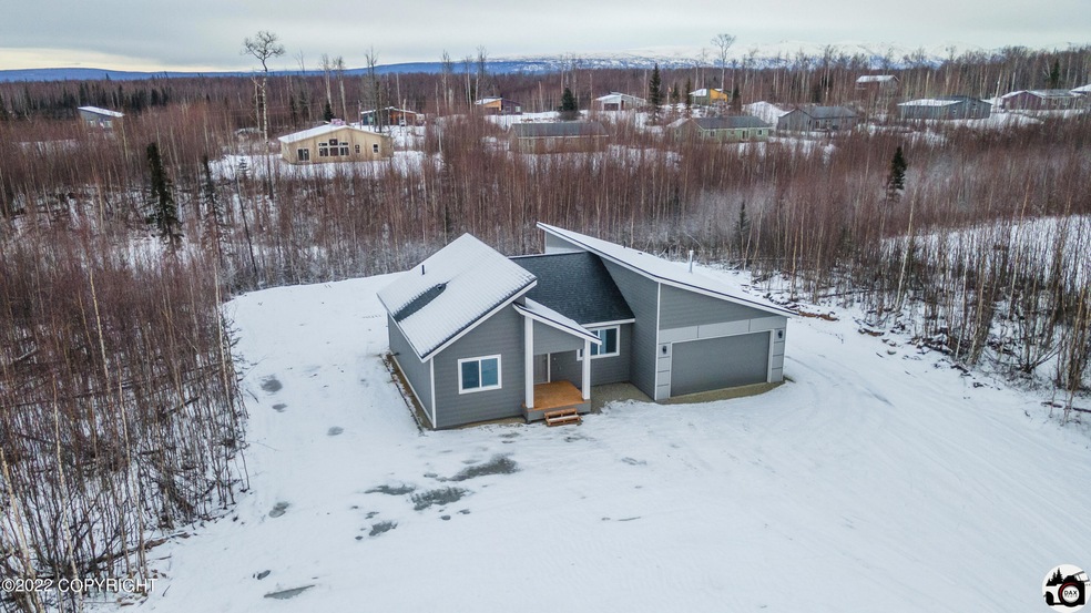 4501 S Preston Hills Dr, Big Lake, AK 99623 - photo 1