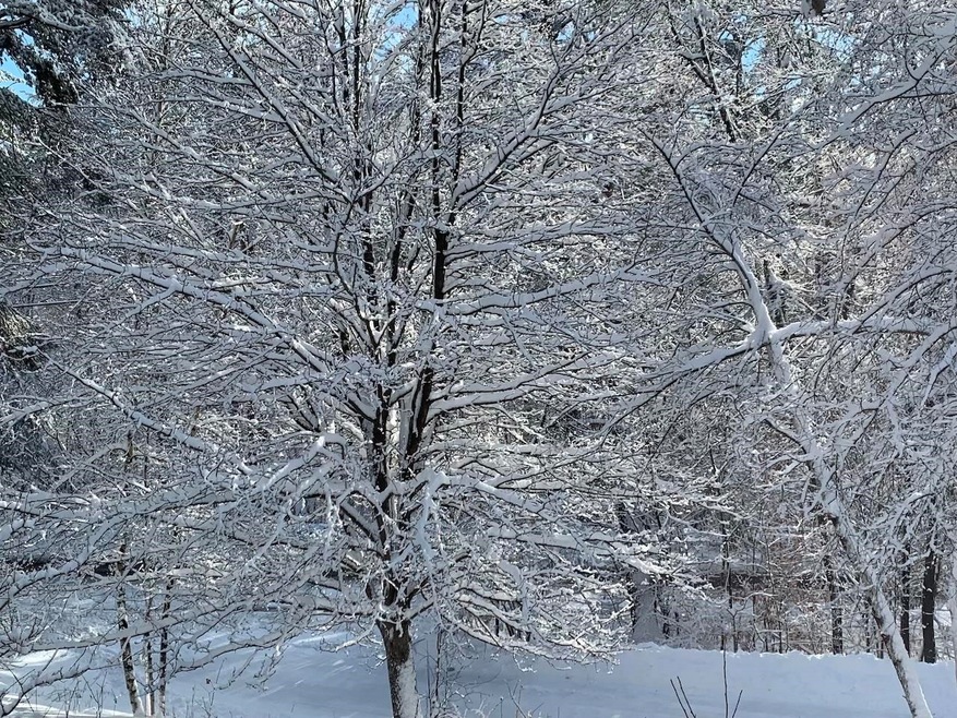 0 Cushing Rd, Hartford, VT 05001 - photo 1