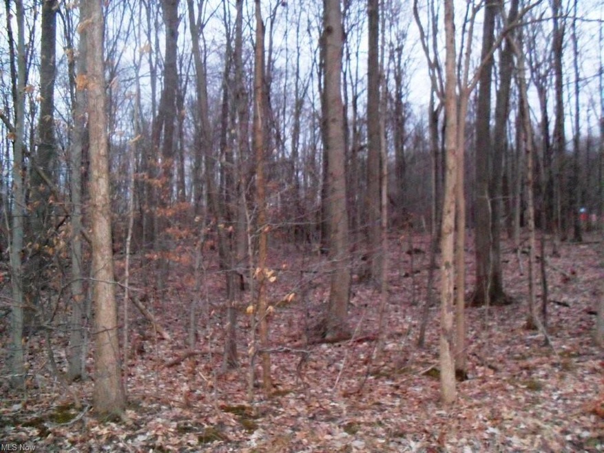 2.25 acres of land in a great country setting.