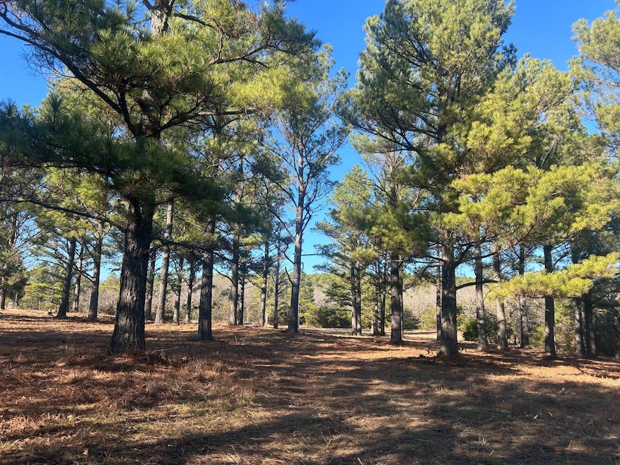 0000 E Greasy Bend Rd, Stringtown, OK 74569 - photo 1