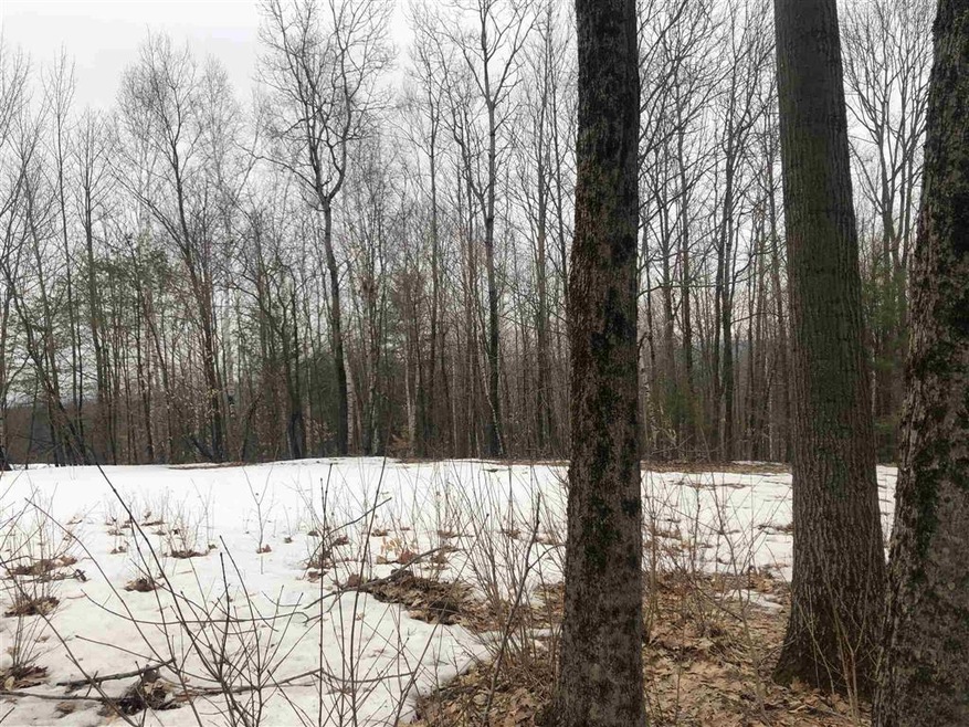 0 Driscoll Hill Rd, Deering, NH 03244 - photo 1