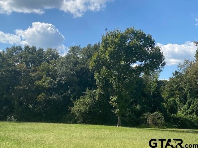 TBD 3rd St, Athens, TX 75751 - photo 1