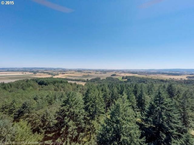 0 SW Vineyard Ln unit 15359757, McMinnville, OR 97128 - photo 1