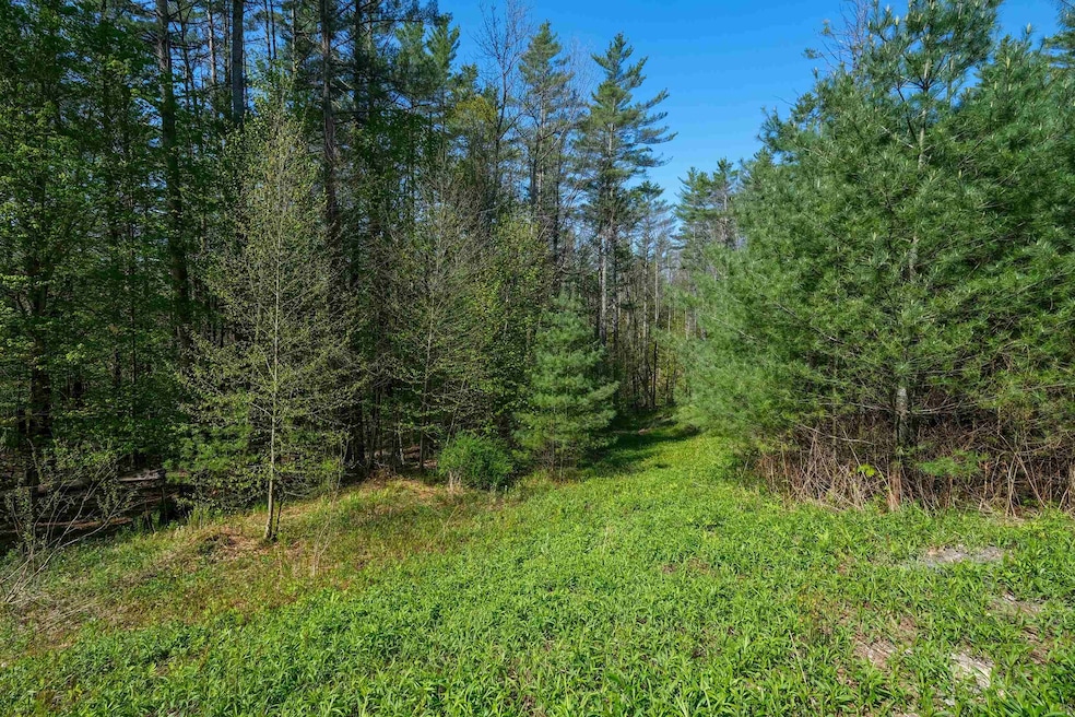 Cedar Drive
