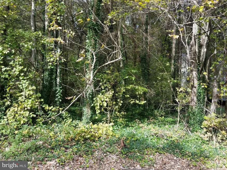 307 Harrison Cir, Locust Grove, VA 22508 - photo 1