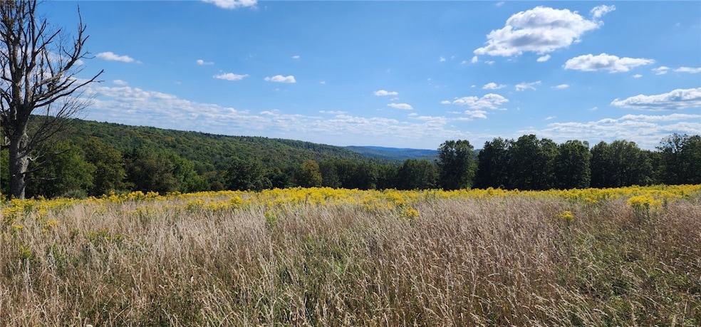 212-A Hill Rd, Danby, NY 14001 - photo 1