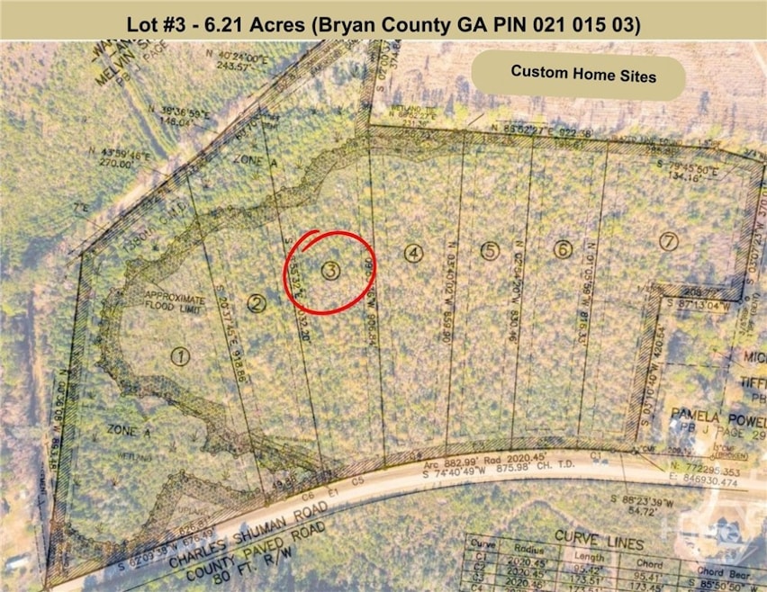 Lot 3 Charles Shuman Rd, Pembroke, GA 31321 - photo 1