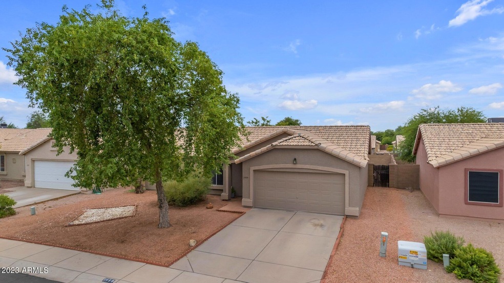 1-web-or-mls-DJI_0359