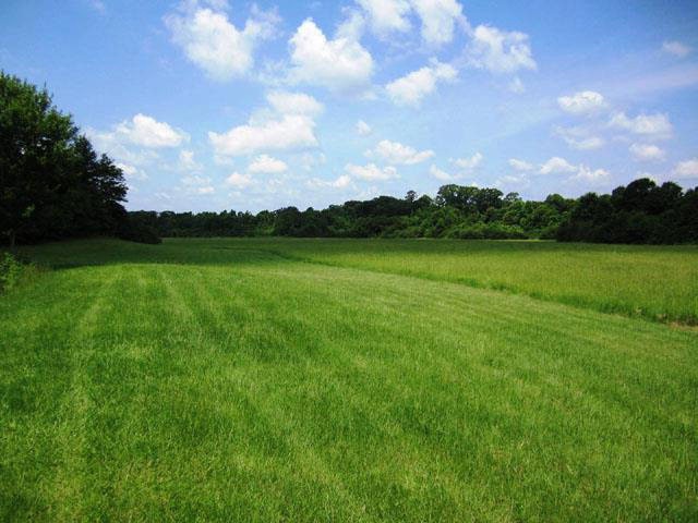 XXXX Gibson Rd, McComb, MS 39648 - photo 1