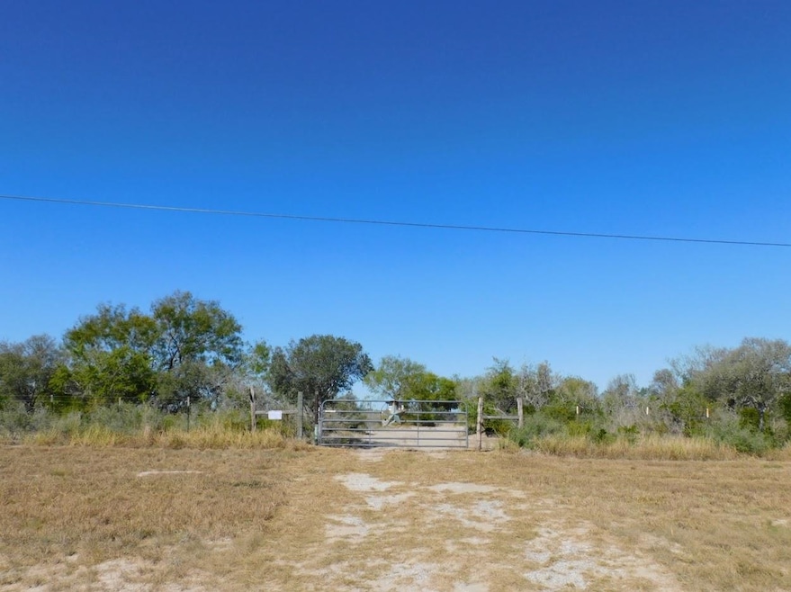 653 S U S Hwy 59, Georgewest, TX 78022 - photo 1
