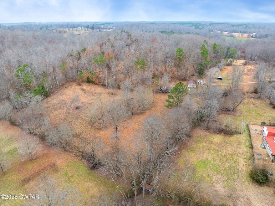 DJI_20250206125113_0005_D