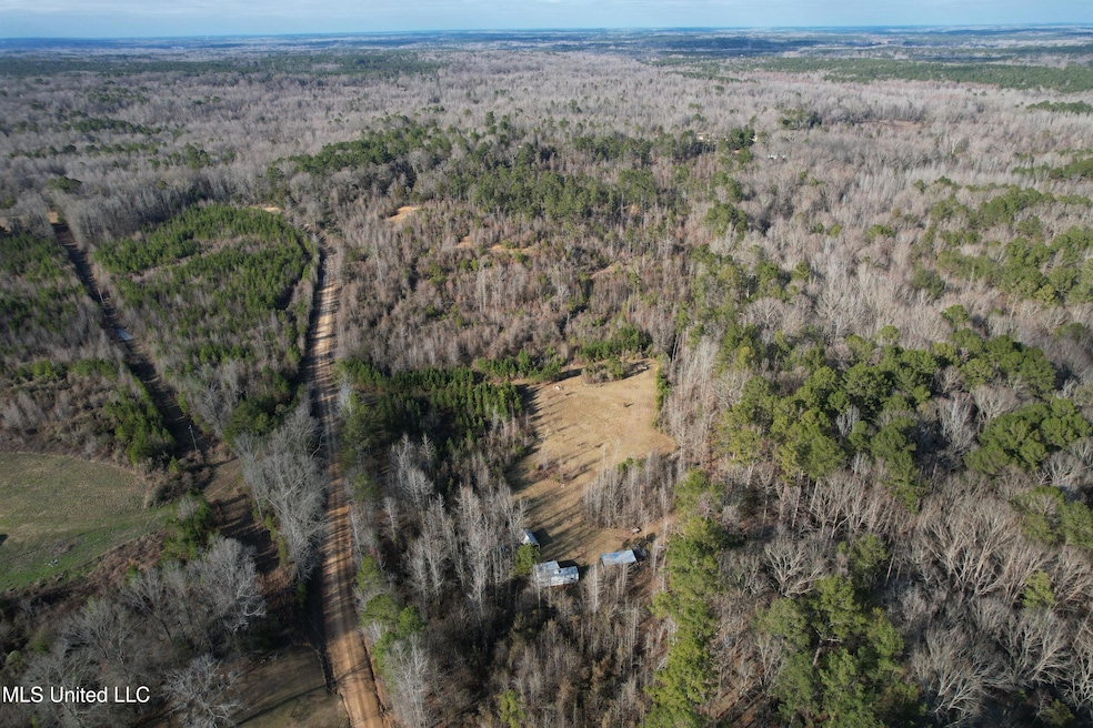 DJI_0545