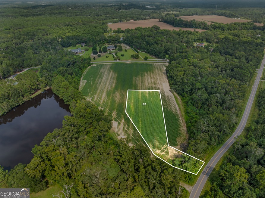 0 Miller Street Extension unit LOT 22, Statesboro, GA 30458 - photo 1