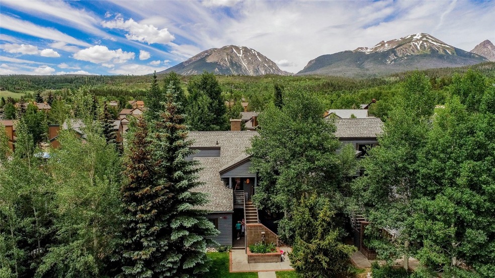 101 Blue Grouse Ln unit D, Silverthorne, CO 80498 - photo 1