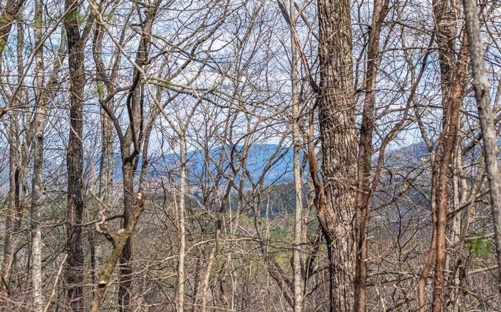 LOT 4LW Katydid Rd, Mineral Bluff, GA 30559 - photo 1