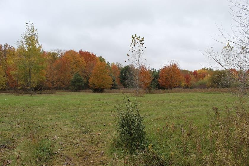 12113 N Linden Rd, Clio, MI 48420 - photo 1