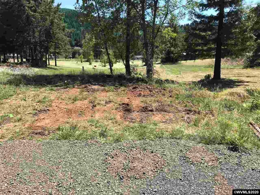 24322 Gellatly Way, Philomath, OR 97370 - photo 1