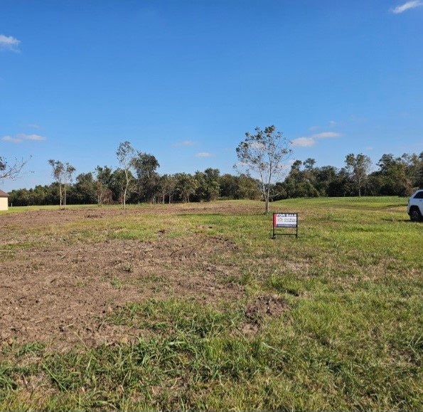 16411 Wrangler Rd, Rosharon, TX 77583 - photo 1