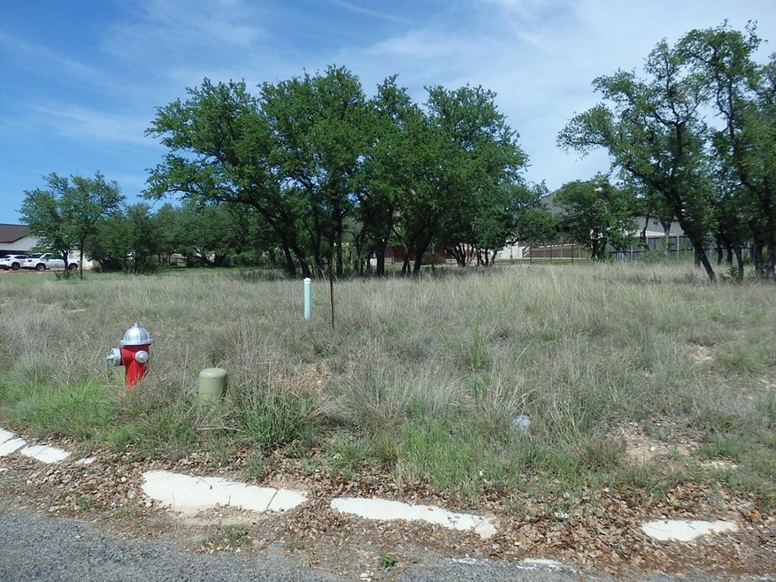 2301 Stone Meadow unit 287, Fredericksburg, TX 78624 - photo 1