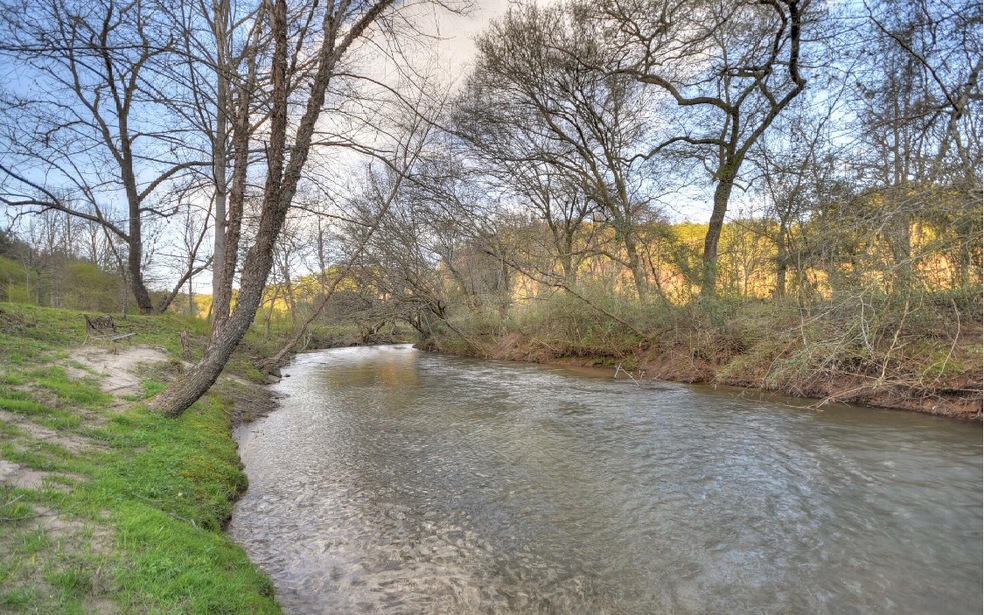 859 Haymore Farm Rd, Mineral Bluff, GA 30559 - photo 1