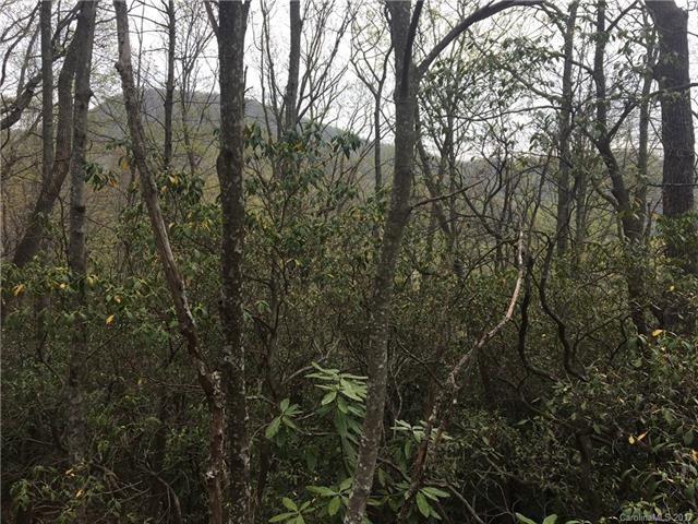 Affordable building lot with tremendous view poten
