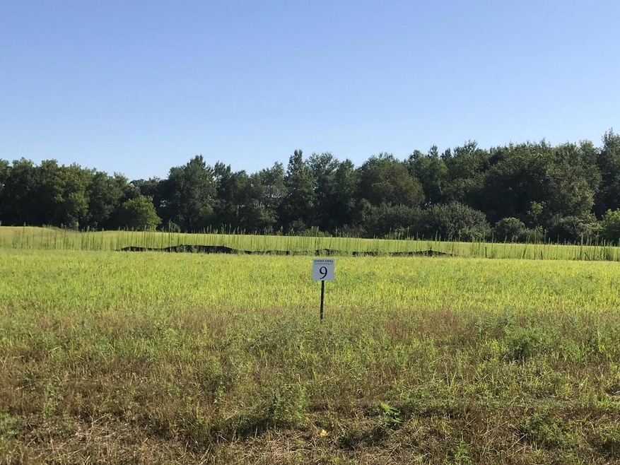 Lot 9