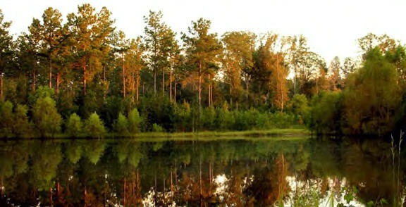 0 Hwy 583 N unit 117578, Jayess, MS 39641 - photo 1