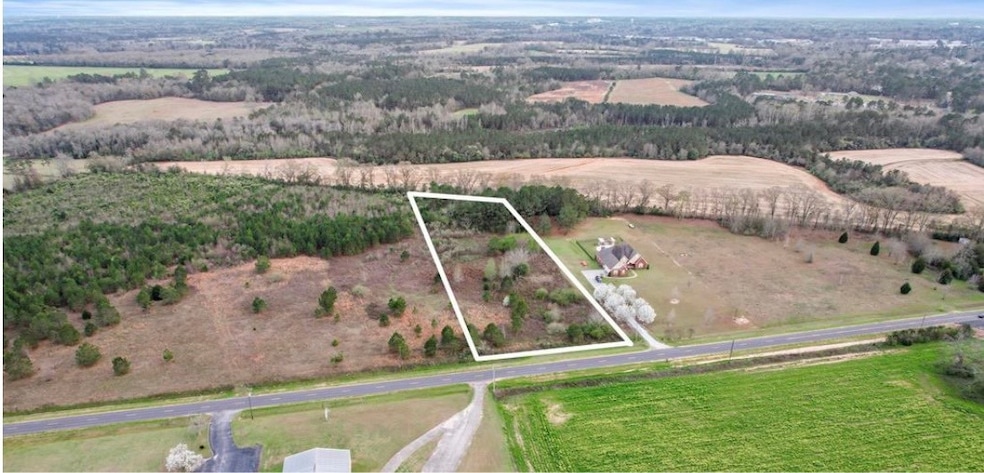 0 Roney Rd, Kinsey, AL 36303 - photo 1